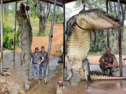 Tin tức - Bắt được "quái vật huyền thoại" cá sấu siêu to khổng lồ dài 4,5 m, nặng 450 kg, người đàn ông gây tranh cãi dữ dội