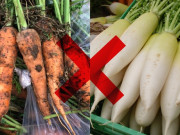 Bếp Eva - Cà rốt là "nhân sâm của người nghèo" nhưng nấu chung với 5 thứ này lại như “thuốc độc”, càng ăn càng rút ngắn tuổi thọ