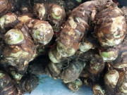 Xem ăn chơi - Loại củ xưa mọc đầy không ai ngó ngàng, nay thành đặc sản ai cũng "săn lùng" bởi vị ngọt lịm, giá 40.000 đồng/kg