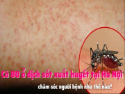 Clip Eva - Có 80 ổ dịch sốt xuất huyết tại Hà Nội, chăm sóc người bệnh như thế nào?