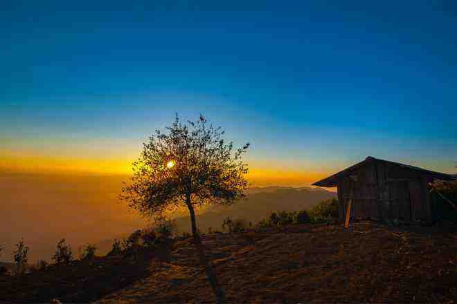 Cây táo mèo cô đơn ở Tà Xùa. Ảnh: Mytour.