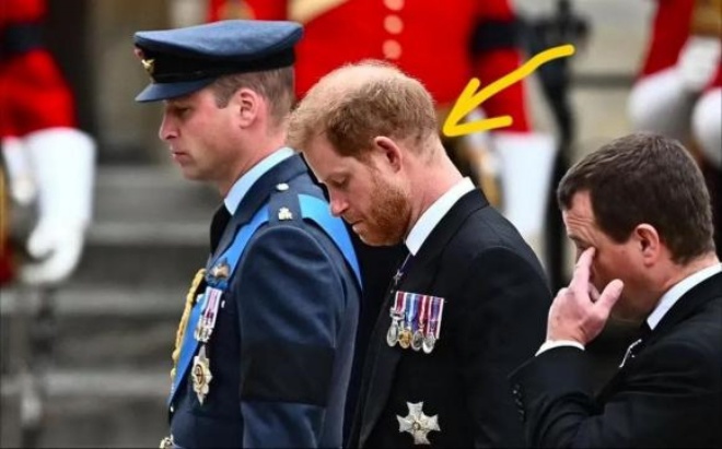 Harry liệu có hối tiếc vì những gì mình đã làm?
