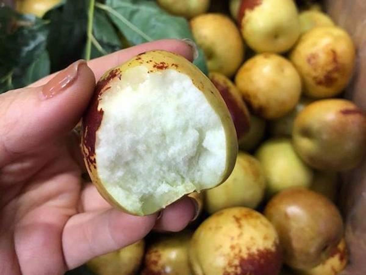 Loại quả giúp bổ sung Vitamin C nhiều gấp 5 lần cam, giá bán 200.000 đồng/kg vẫn hút khách - 4