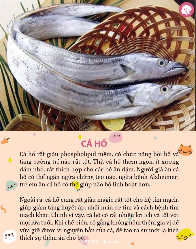 Bé ăn cá sẽ thông minh hơn? 5 loại cá amp;#34;siêu bổ dưỡngamp;#34; giúp trẻ tăng IQ vùn vụt - 6
