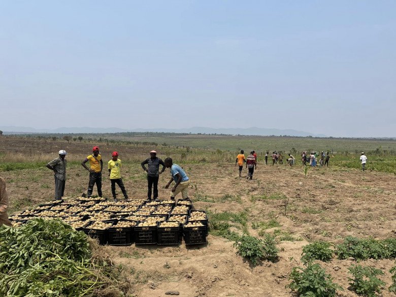 Cuộc sống hiện tại của Quang Linh Vlog tại châu Phi: Bội thu mùa màng, lên kế hoạch về Việt Nam cuối năm nay - 7