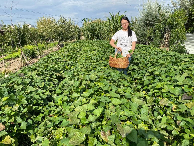 Vườn rau Việt gần 2000m2 của mẹ đảm ở Budapest: Bạn bè nước ngoài ùn ùn ghé thăm, hái rau mang về - 22