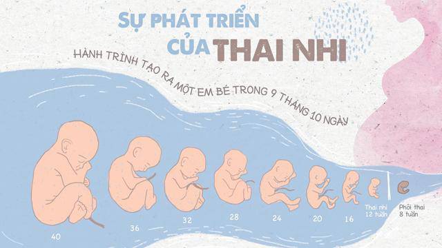 40 tuần thai
