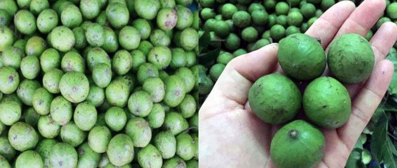 7 cách làm vịt om sấu kiểu miền Bắc với sấu và khoai môn ngon chuẩn vị - 2