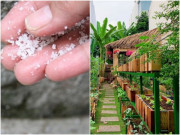 Nhà đẹp - Rắc muối quanh nhà có “trăm cái lợi”, không phải mê tín mà có cơ sở khoa học cả