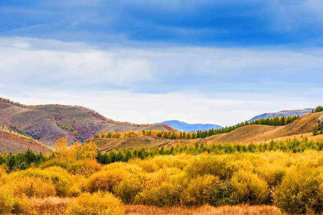 Tất cả khó khăn bạn gánh chịu sẽ trở lại nâng bước và soi sáng tương lai - 2