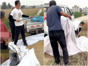 Cùng chồng mới tới nhà chồng cũ gặt lúa giúp, một câu nói của người phụ nữ gây xúc động