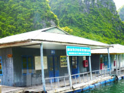 Tin tức - Làng chài thuộc top đẹp nhất thế giới ở vịnh Hạ Long đang "chìm" dần