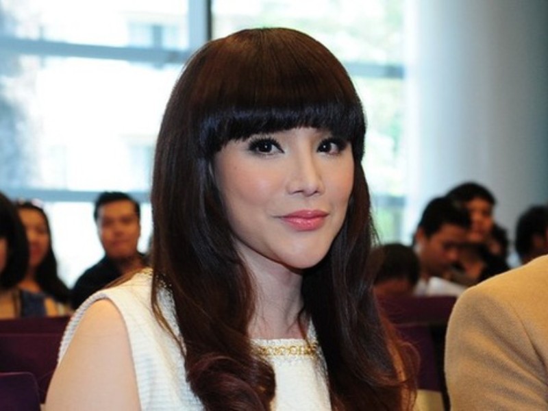 Năm 2012, gương mặt Hồ Quỳnh Hương bắt đầu xuất hiện dấu hiệu đơ cứng, thậm chí một số góc chụp còn thấy sự biến dạng. Thậm chí, có thời điểm nữ ca sĩ bị gọi là 'thảm họa phẫu thuật thẩm mỹ'.
 
