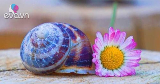 View - Phụ nữ khôn ngoan hiểu đây mới là trạng thái sống tốt nhất