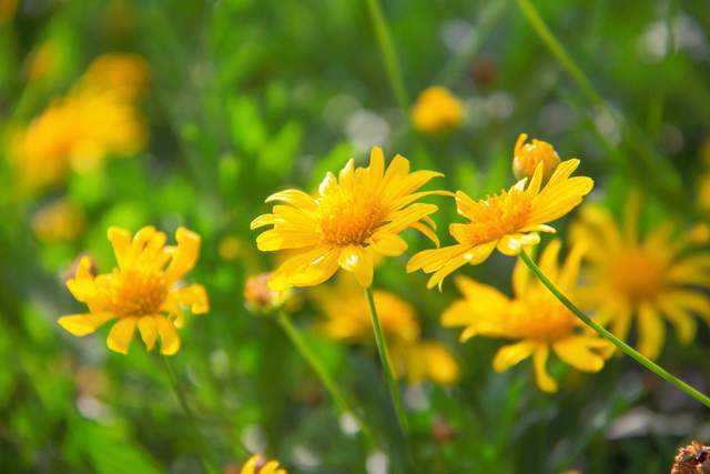 Phụ nữ khôn ngoan hiểu đây mới là trạng thái sống tốt nhất - 1