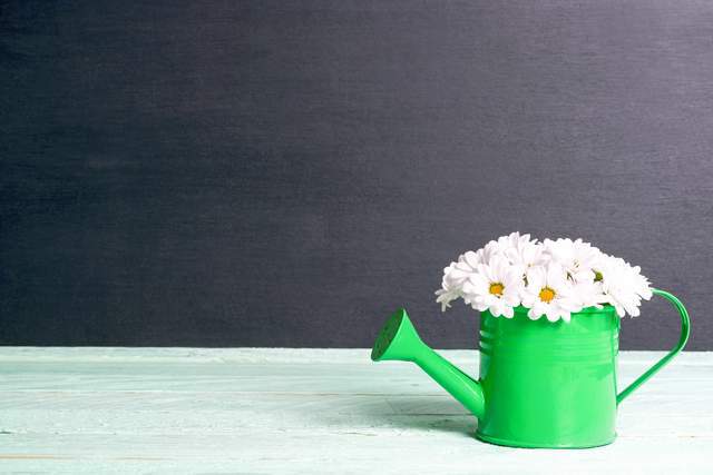 Phụ nữ khôn ngoan hiểu đây mới là trạng thái sống tốt nhất - 2