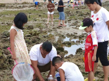 Độc đáo biển Nha Trang mùa nước cạn