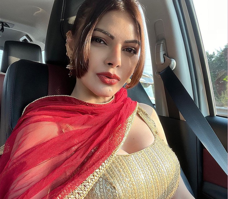 Sherlyn Chopra sinh năm 1984 là một trong những nghệ sĩ tài năng của Ấn Độ.
