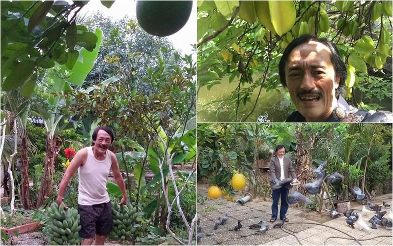 Trước khi qua đời, nghệ sĩ Giang Còi chọn cho mình cuộc sống an yên nơi thôn quê. Nam nghệ sĩ có cả khu nhà vườn rộng khoảng 10.000m2 ở ngoại ô Hà Nội, ngập tràn hoa và cây trái.
