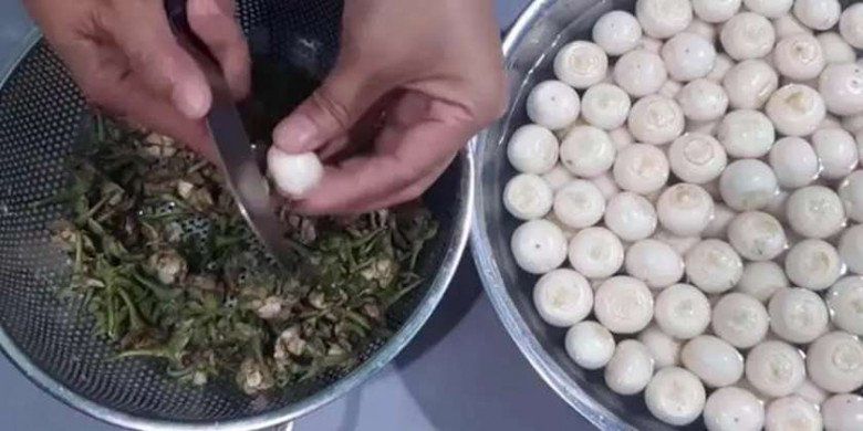 3 cách muối cà trắng giòn, thơm ngon mà không bị thâm đen khiến con thích, chồng khen hay - 17