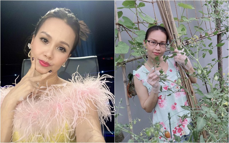 Fan cũng nhận xét: "Chị trên sân khấu như 1 nữ hoàng, về nhà đúng chuẩn 1 người phụ nữ của gia đình", "Giàu có, nổi tiếng, nhiều người biết đến nhưng rất giản dị"...
 
