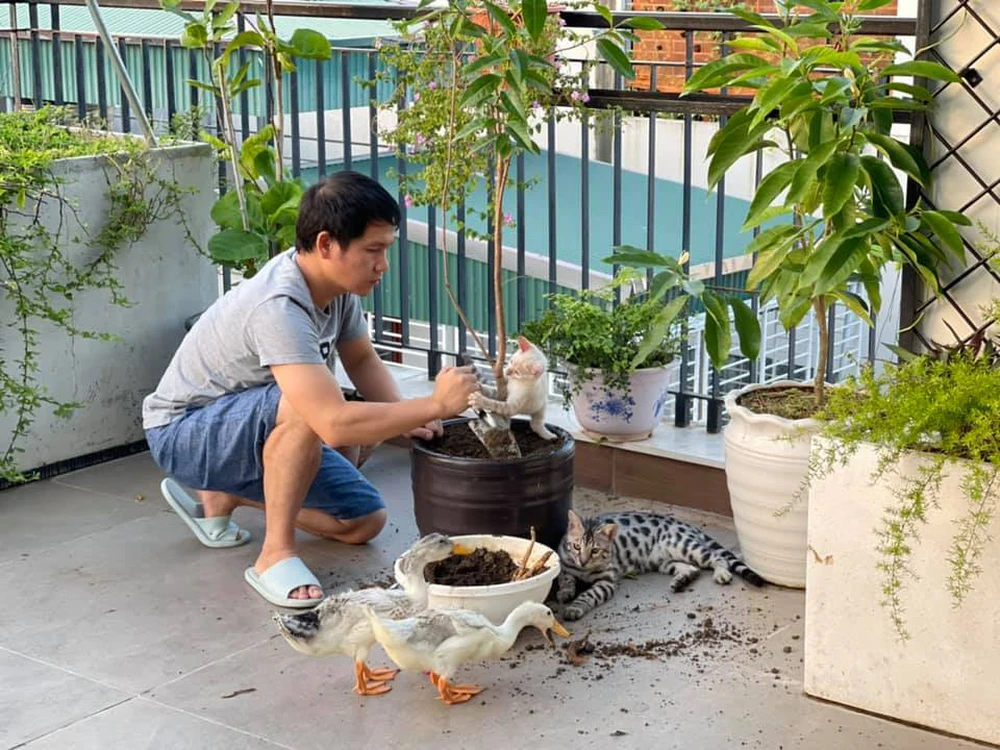 amp;#34;Vua nhạc đỏamp;#34; vụt sáng nhờ Sao Mai: Lấy vợ đẹp, có 2 biệt thự khủng, amp;#34;của để dànhamp;#34; còn quý hơn - 26