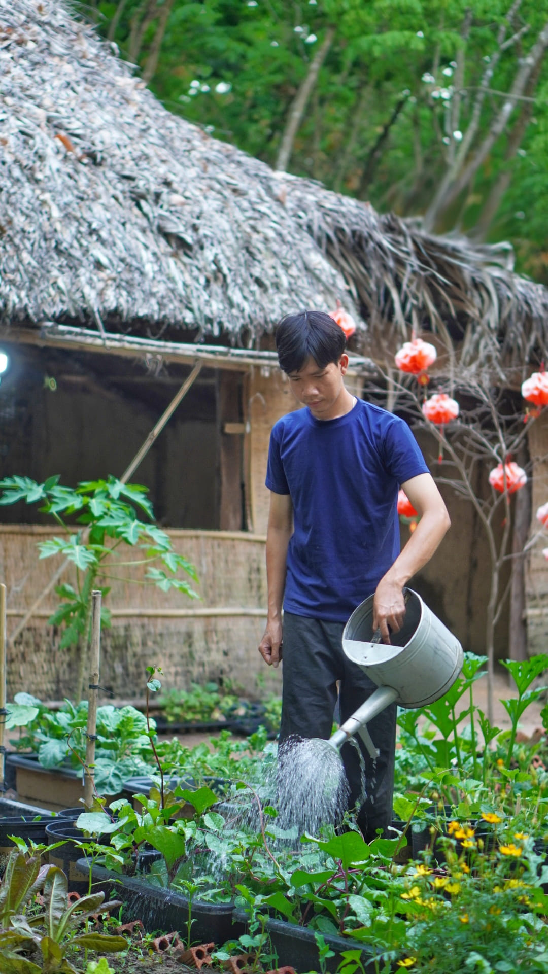 Chàng trai bỏ phố vào rừng, trồng vườn cây đủ màu sắc thu trái trĩu tay - 3