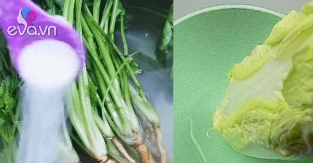 View - Rau củ cứ bảo quản theo cách này để cả năm vẫn tươi rói, không thối hỏng, bạn đã biết chưa?