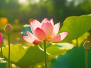 Eva tám - Những cuộc gặp gỡ trên đời này đều là gặp gỡ với chính bạn