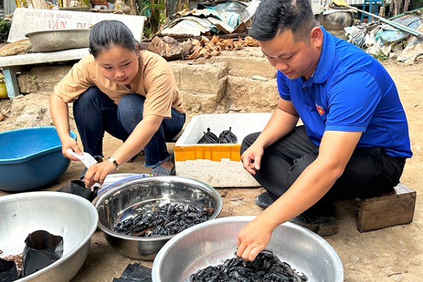 Dù tuổi còn trẻ nhưng cô nông dân 9X đã kiếm được thu nhập lớn nhờ mô hình nuôi bọ cạp.