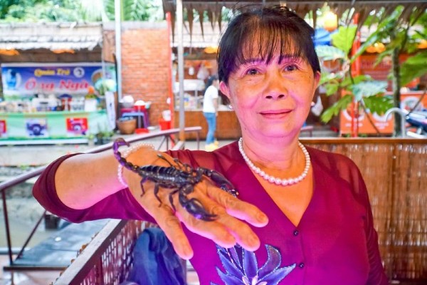 Bà Giàu cùng con trai đang xây dựng thành công với trang trại nuôi dế và bọ cạp.