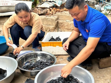 Nghề lạ ở Việt Nam: Nuôi con vật tử thần ai cũng sợ, chăm nhàn tênh, bán làm đặc sản thu lãi khủng đều hàng tháng
