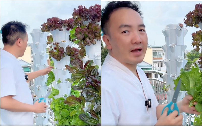 Tại không gian sống của mình, nam ca sĩ còn trồng rau trên sân thượng. Mới đây, Dương Ngọc Thái khoe cảnh đang thu hoạch rau sạch tại giàn rau thủy canh. 
