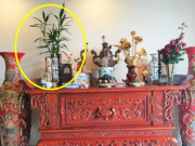 Nhà đẹp - Mùng 1 trên bàn thờ xuất hiện 4 dấu hiệu này, gia chủ được lộc tổ tiên, cả tháng ăn nên làm ra