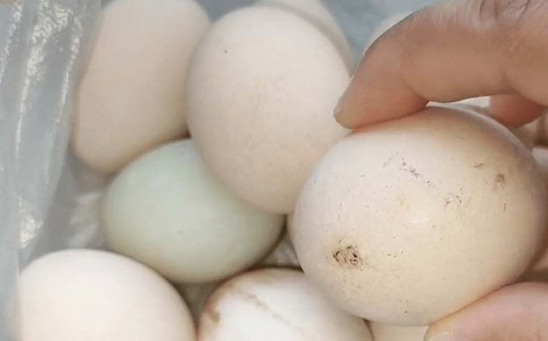Trứng mua vḕ bỏ ngay vào tủ lạnh là quá dại, nhớ kỹ 3 KHÔNG ᵭể cả năm khȏng sợ ung hỏng - 2