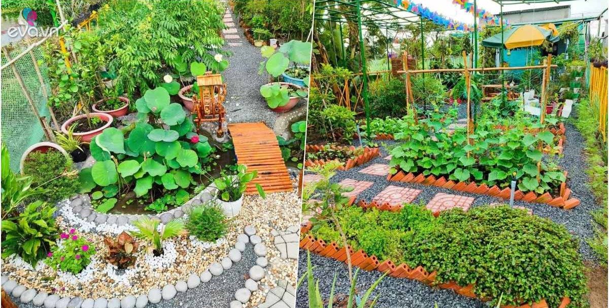 View - Nhân viên văn phòng bỏ phố về quê, biến hơn 150m2 đất trũng thành vườn rau đẹp mê li, tự tay làm hồ sen mini cực chill