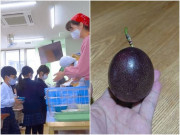 Làm mẹ - Con khen cơm trưa ở trường rất ngon, mẹ thấy vật lạ trong cặp sách của bé liền tức giận đòi chuyển trường