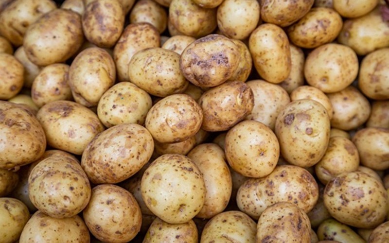 Do đó, để khoai tây lâu bị mọc mầm, bạn hãy tham khảo các cách bảo quản dưới đây nhé:
