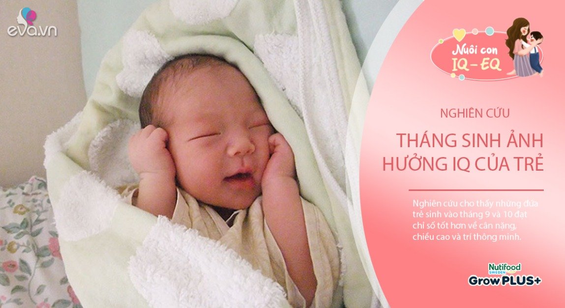 View - Tháng sinh ảnh hưởng đến chỉ số IQ, trẻ sinh vào tháng thông minh có IQ cao hơn