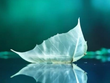 Người thông minh biết cúi đầu trước 3 người này