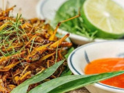 Tiêu dùng - Loài này xưa vứt cho gà ăn giờ là đặc sản lạ, làm thành món nhậu ngon hơn thịt cá được ưa chuộng, 250.000 đồng/kg