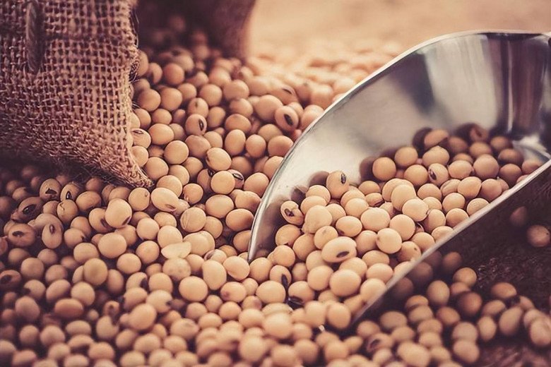 Mùa hè ăn 4 món này còn tốt hơn thịt mà lại rẻ hơn, giúp chống lão hóa lại thanh nhiệt, giải độc - 4