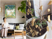 Nhà đẹp - Thầy phong thủy nói trong nhà có 3 dấu hiệu này là điềm lành, gia chủ “may túi 3 gang mà đựng vàng”