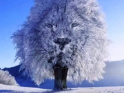 Eva tám - Trắc nghiệm tâm lý: Thoạt nhìn, bạn đã thấy gì trong tranh?