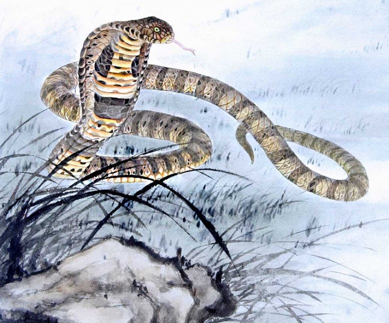 4 con giáp “keo kiệt” với bản thân nhưng rất hào phóng với gia đình - 4