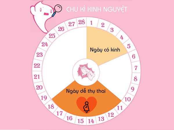 Tính sai số trong kỳ kinh nguyệt cũng dễ dẫn đến mang thai ngay sau kỳ kinh.