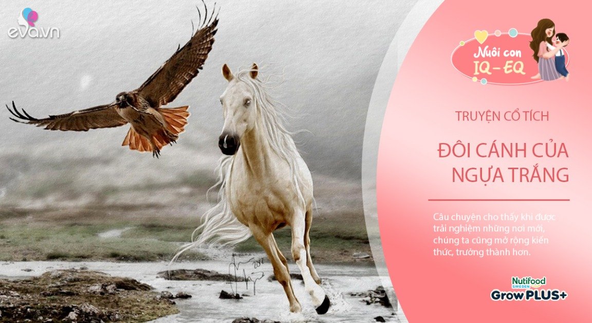 Gallery - Truyện cổ tích: Đôi cánh của ngựa trắng