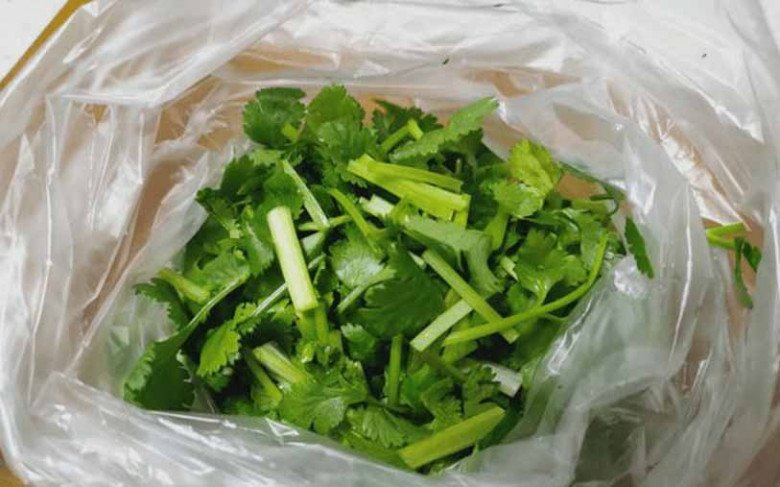 Storing coriander in a plastic bag in the freezer