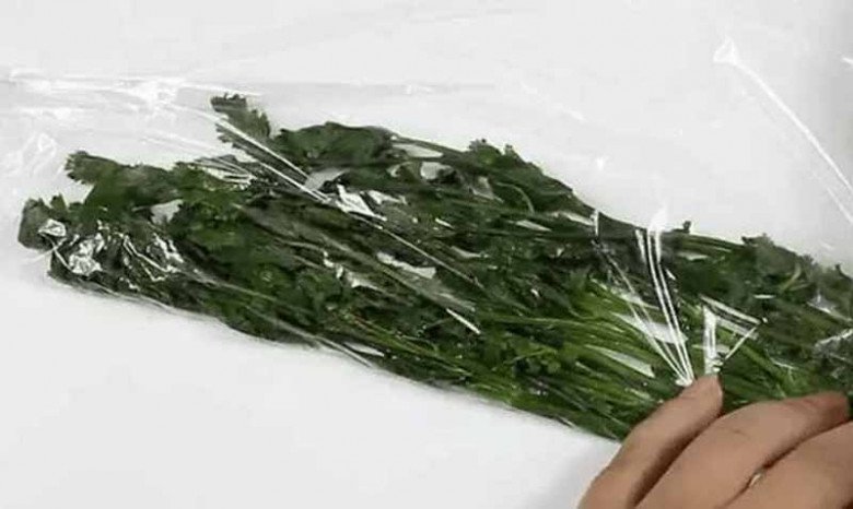 Wrapping coriander in plastic wrap for storage