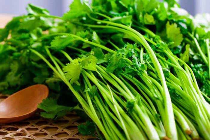 Soaking coriander in a solution of baking soda and salt